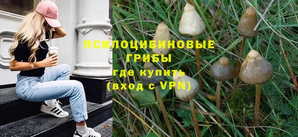 меф Мегион