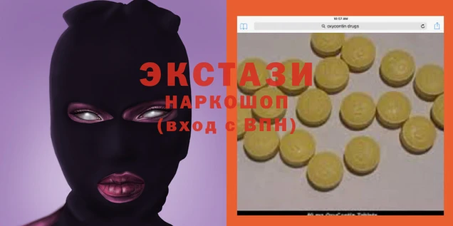 шишки Сосновый Бор