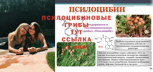 ECSTASY Ростов