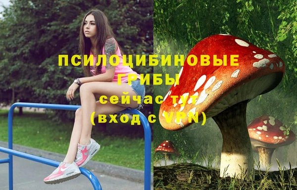 меф Мегион