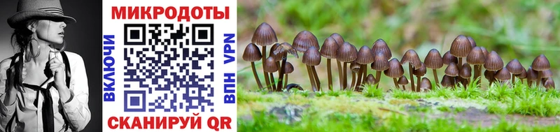 Псилоцибиновые грибы мухоморы  Моздок 