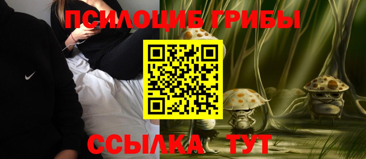 Псилоцибиновые грибы Psilocybe  Моздок 