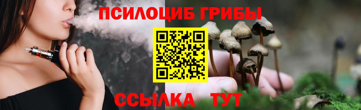 Моздок  Псилоцибиновые грибы Psilocybe  Вход с VPN 